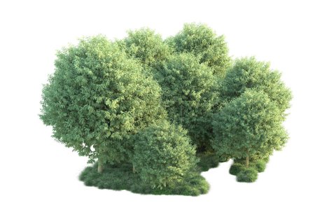 Foto de Arbustos verdes aislados en el fondo. representación 3d - ilustración - Imagen libre de derechos