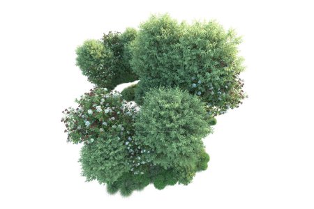 Téléchargez les photos : Arbustes verts isolés sur fond. rendu 3d - illustration - en image libre de droit