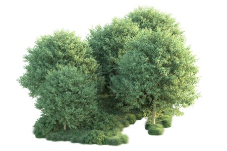 Photo for Green bushes isolated on background. 3d rendering - illustration - Royalty Free Image