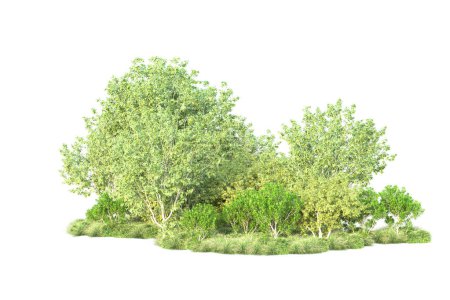 Photo for Green bushes isolated on white background. 3d rendering - illustration - Royalty Free Image