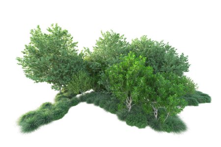 Photo for Green bushes isolated on white background. 3d rendering - illustration - Royalty Free Image
