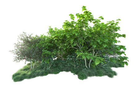 Green bushes isolated on white background. 3d rendering - illustration 