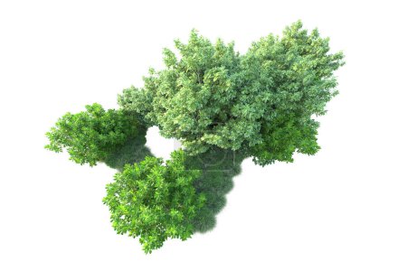 Téléchargez les photos : Arbustes verts isolés sur fond blanc. rendu 3d - illustration - en image libre de droit