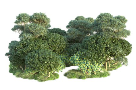 Téléchargez les photos : Arbustes verts isolés sur fond blanc. 3d rendu des plantes forestières - en image libre de droit