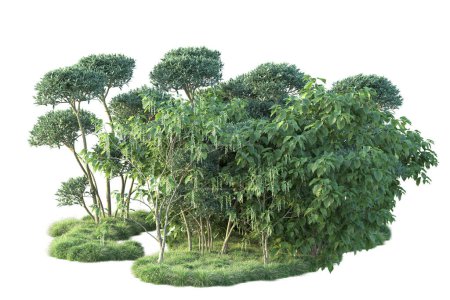 Téléchargez les photos : Arbustes verts isolés sur fond blanc. 3d rendu des plantes forestières - en image libre de droit