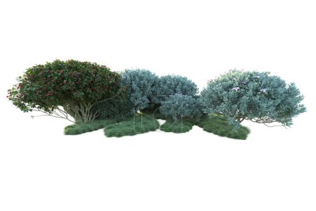 Photo for Green bushes isolated on white background. 3d rendering of forest plants - Royalty Free Image