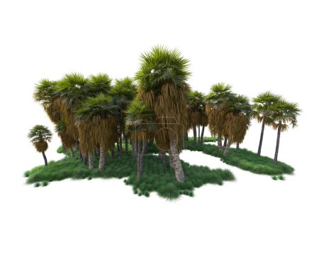 Photo for Tropical forest arrangement isolated on background. 3d rendering - illustration - Royalty Free Image