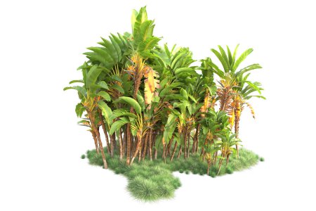 Téléchargez les photos : Arrangement de forêt tropicale isolé sur fond. rendu 3d - illustration - en image libre de droit