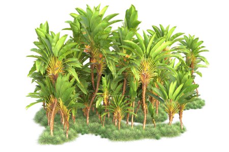 Foto de Arreglo forestal tropical aislado sobre fondo. representación 3d - ilustración - Imagen libre de derechos