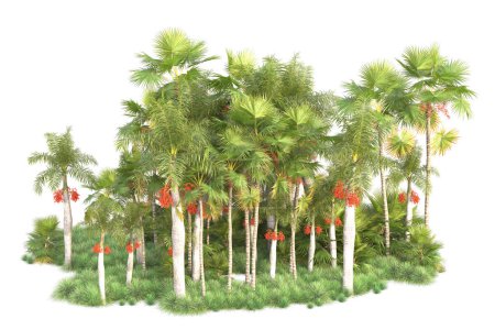 Téléchargez les photos : Arrangement de forêt tropicale isolé sur fond. rendu 3d - illustration - en image libre de droit
