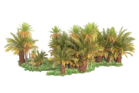 Photo for Tropical forest arrangement isolated on background. 3d rendering - illustration - Royalty Free Image