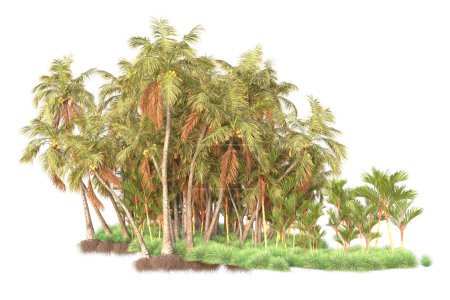 Foto de Arreglo forestal tropical aislado sobre fondo. representación 3d - ilustración - Imagen libre de derechos