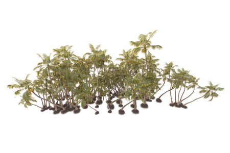 Foto de 3d renderizado palmeras y arbustos de decoración de jardín sobre un fondo blanco - Imagen libre de derechos