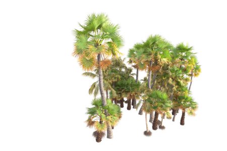 Foto de 3d renderizado palmeras y arbustos de decoración de jardín sobre un fondo blanco - Imagen libre de derechos
