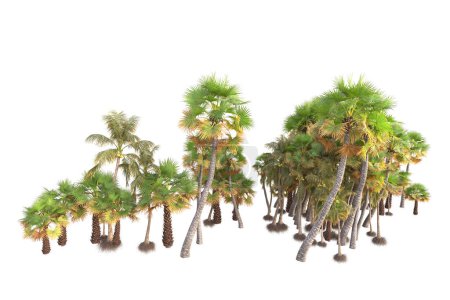 Photo for 3d rendered palm trees and garden decoration shrubs on a white background - Royalty Free Image