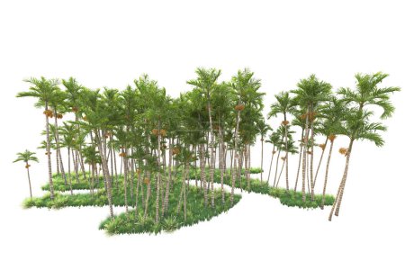 Photo for 3d rendered palm trees and garden decoration shrubs on a white background - Royalty Free Image