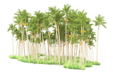 Téléchargez les photos : 3d rendu palmiers et arbustes de décoration de jardin sur un fond blanc - en image libre de droit