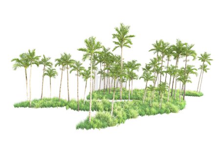 Foto de 3d árboles renderizados y arbustos de decoración de jardín sobre un fondo blanco - Imagen libre de derechos