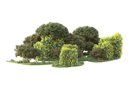 Téléchargez les photos : Arbres rendus 3d et arbustes de décoration de jardin sur fond blanc - en image libre de droit