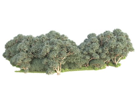 Foto de 3d árboles renderizados y arbustos de decoración de jardín sobre un fondo blanco - Imagen libre de derechos