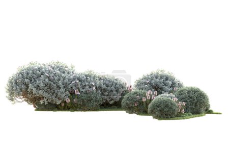 Foto de Arbustos verdes aislados sobre fondo blanco. representación 3d - ilustración - Imagen libre de derechos