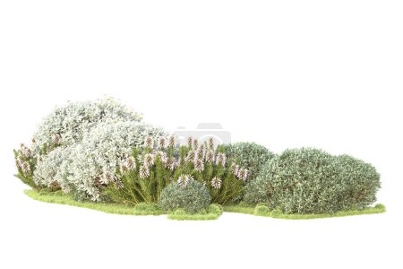 Téléchargez les photos : Arbustes verts isolés sur fond blanc. rendu 3d - illustration - en image libre de droit