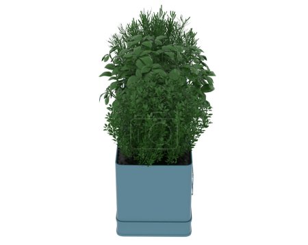 Téléchargez les photos : Épices plantes dans les pots sur fond blanc. rendu 3d - illustration - en image libre de droit