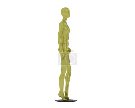 Photo for Mannequin isolated on white background. 3d rendering - illustration - Royalty Free Image