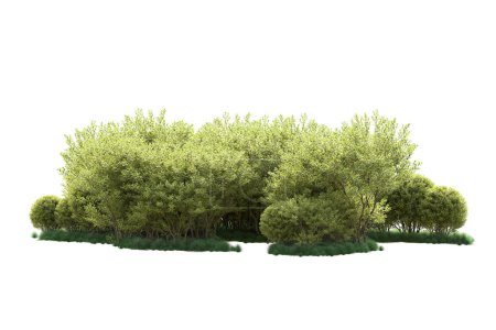 Foto de Paisaje verde aislado sobre fondo blanco. representación 3d - ilustración - Imagen libre de derechos