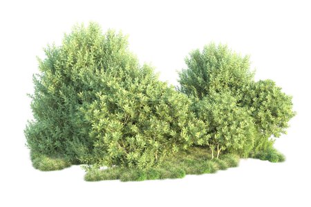 Photo for Green landscape isolated on white background. 3d rendering - illustration - Royalty Free Image