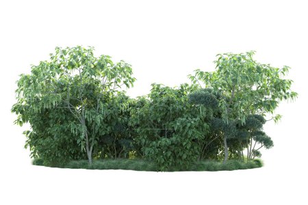 Foto de Paisaje verde aislado sobre fondo blanco. representación 3d - ilustración - Imagen libre de derechos