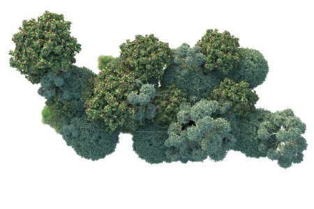 Téléchargez les photos : Forêt verte isolée sur fond blanc. illustration 3D réaliste - en image libre de droit