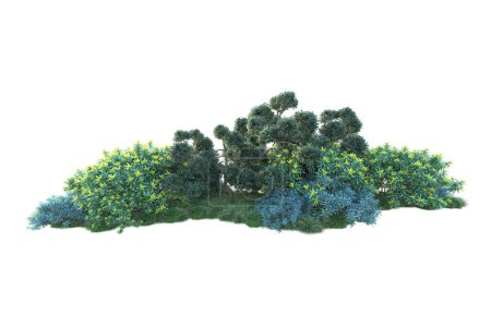 Téléchargez les photos : Illustration du parc 3D. arbres d'été isolés sur fond blanc - en image libre de droit