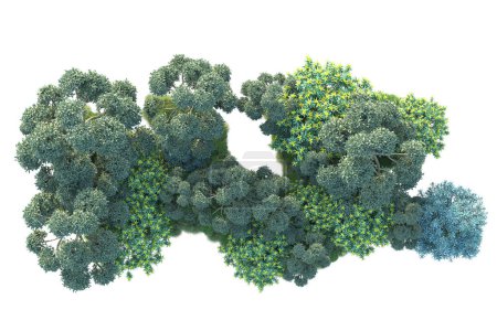 Téléchargez les photos : Illustration du parc 3D. arbres d'été isolés sur fond blanc - en image libre de droit