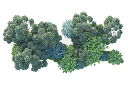 Téléchargez les photos : Forêt verte isolée sur fond blanc. illustration 3D réaliste - en image libre de droit
