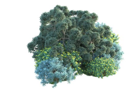 Téléchargez les photos : Illustration 3D. arbres verts isolés sur fond blanc - en image libre de droit