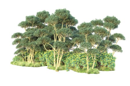 Téléchargez les photos : Illustration 3D réaliste. forêt verte isolée sur fond blanc - en image libre de droit