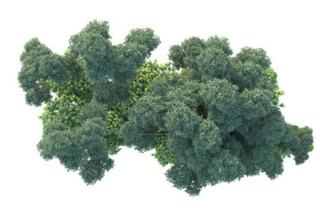 Foto de Concepto de entorno. árboles verdes en el parque. arte aislado sobre fondo blanco. Ilustración de representación 3d - Imagen libre de derechos
