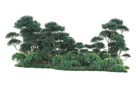 Foto de Concepto de entorno. árboles verdes en el parque. arte aislado sobre fondo blanco. Ilustración de representación 3d - Imagen libre de derechos
