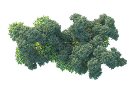 Foto de Plantas y árboles en el parque. arte aislado sobre fondo blanco. Ilustración de representación 3d - Imagen libre de derechos