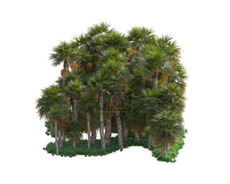 Photo for Tropical trees in park. 3d rendering illustration - Royalty Free Image