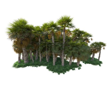 Téléchargez les photos : Arbres tropicaux dans le parc. Illustration de rendu 3d - en image libre de droit