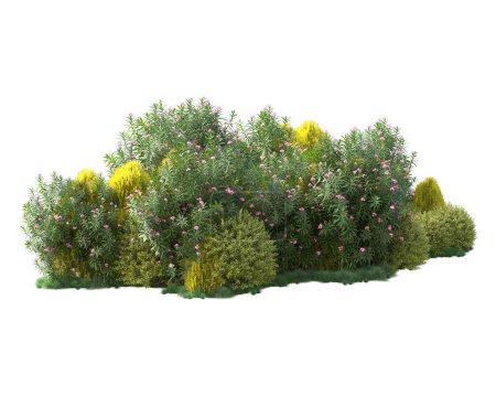 Photo for Green trees foliage. 3d rendering illustration - Royalty Free Image