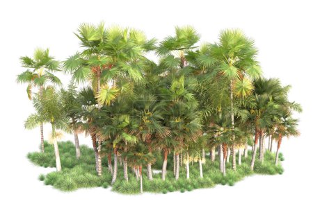 Photo for View of the tropical forest with palm trees on white background - Royalty Free Image