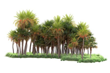 Téléchargez les photos : Arbres exotiques tropicaux verts. Illustration de rendu 3d - en image libre de droit