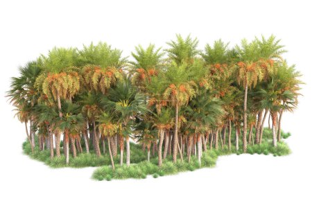 Téléchargez les photos : Arbres exotiques tropicaux verts. Illustration de rendu 3d - en image libre de droit