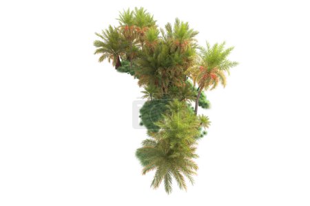 Photo for Exotic tropical green trees. 3d rendering illustration - Royalty Free Image