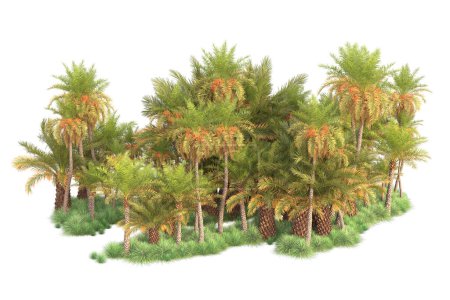 Photo for Tropical trees. 3d rendering illustration - Royalty Free Image