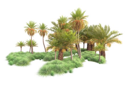 Foto de 3d representación ilustración de árboles tropicales exóticos - Imagen libre de derechos