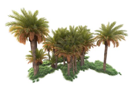 Téléchargez les photos : Illustration de rendu 3D d'arbres tropicaux exotiques - en image libre de droit